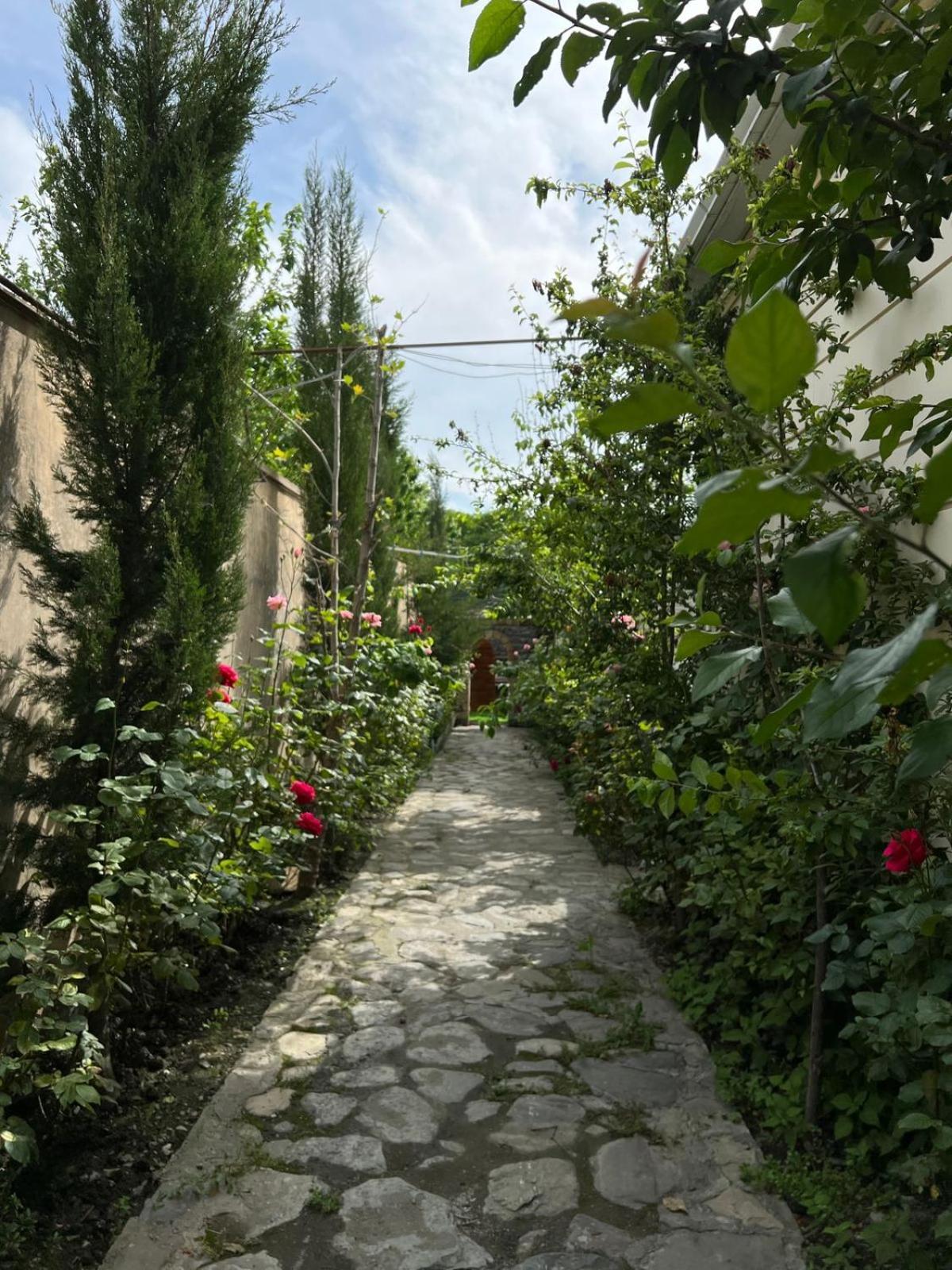 Fortuna Boutique Hotel Qəbələ Exterior foto